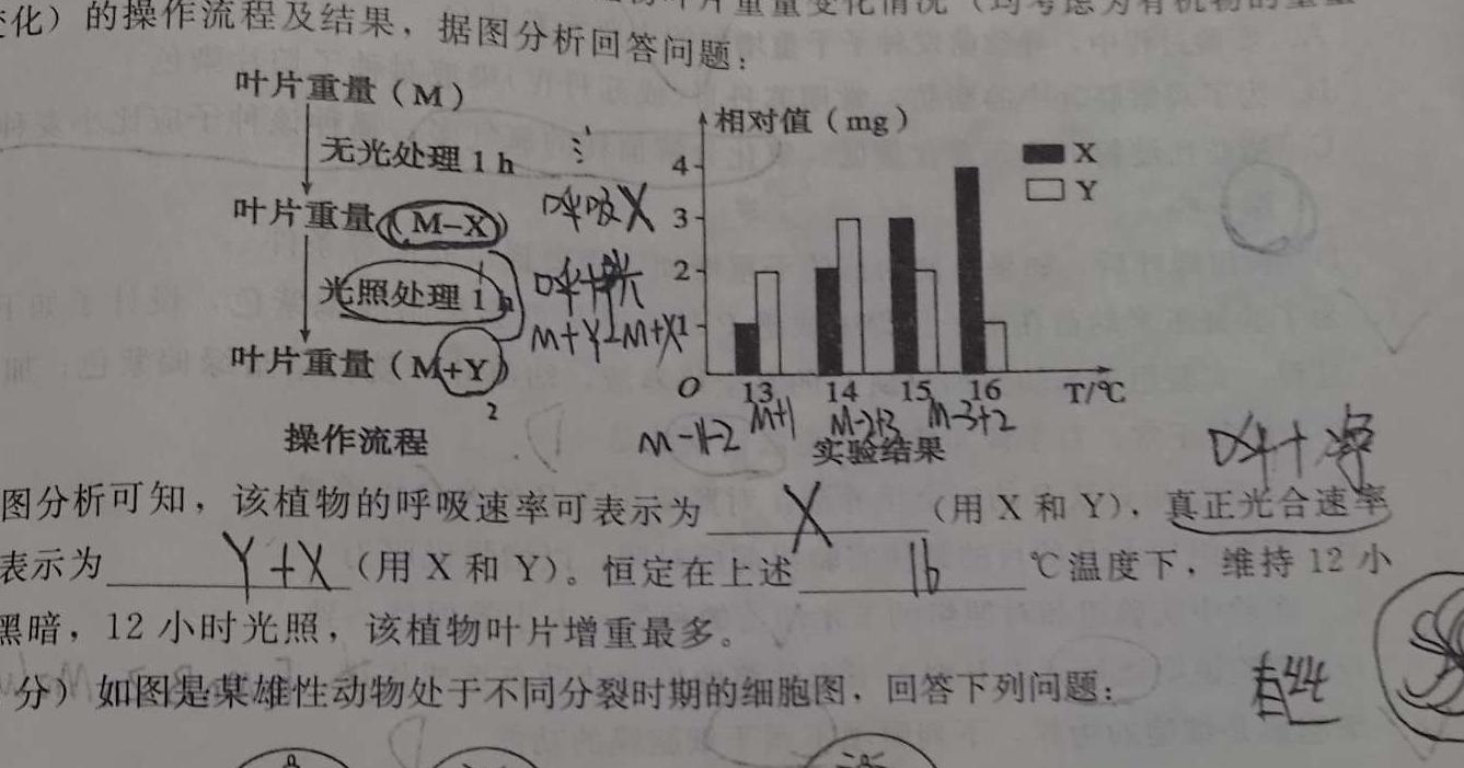 江西省2025届八年级《学业测评》分段训练（二）生物