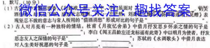 河南省2023-2024学年七年级第一学期学习评价（2）/语文
