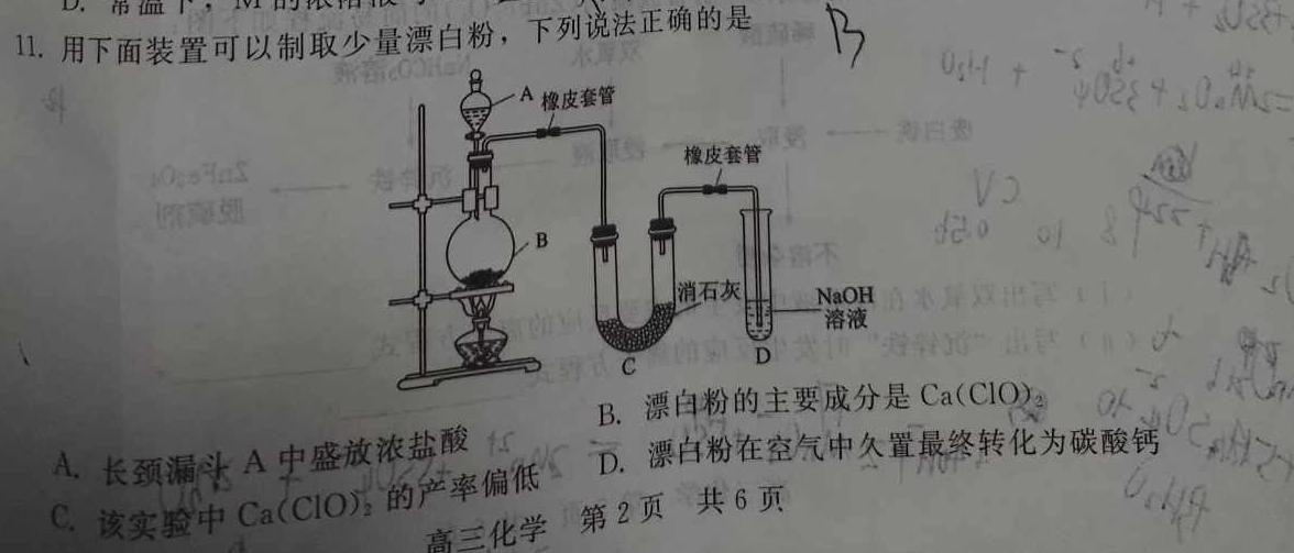 12023-2024学年广东省高一11月联考(24-112A)化学试卷答案