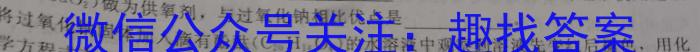 q"2024年全国普通高等学校招生统一考试·A区专用 JY高三模拟卷(一)化学