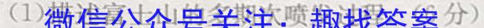 ǽ յһ2024갲пϢԾ(һ).