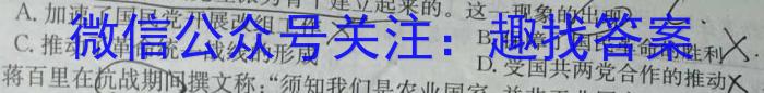 河南省信阳市2025届八年级质量调研（期中考试）历史