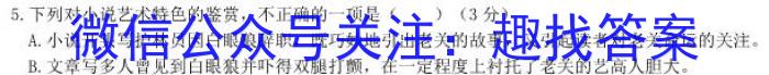 天一文化海南省2023-2024学年高三学业水平诊断(四)语文