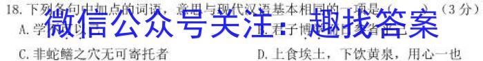 2023-2024学年安徽省九年级教学质量检测（三）语文