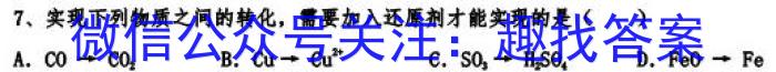 q河南省2023-2024学年度高一年级期中考试卷（新教材）化学