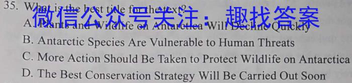 福建省龙岩市一级校联盟2023~2024学年高三第一学期半期考联考(24-108C)英语试卷答案