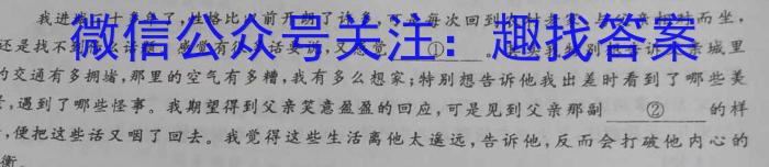 陕西省2023~2024学年度八年级教学素养测评(三) 3L R-SX/语文