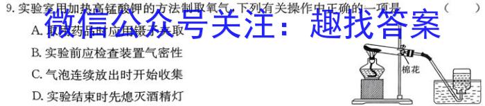 3江西省吉安市2023-2024学年度八年级上学期第三阶段练习化学试题