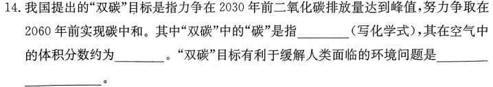 1安徽省2023~2024学年度九年级阶段质量检测（三）化学试卷答案