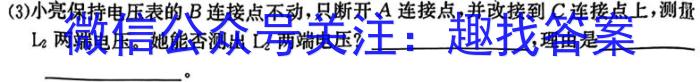 河南省2023-2024学年上学期九年级第三次核心素养检测q物理