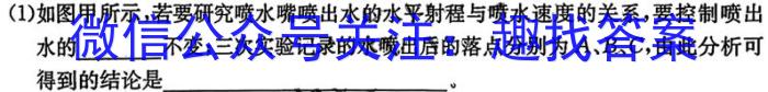 2023-2024学年高三试卷11月联考(学士帽)物理试卷答案