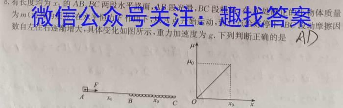 九师联盟2024届高三12月质量检测（X）物理试题答案