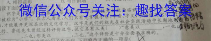 安徽省太和县民族中学2023秋九年级期中综合测评考试语文