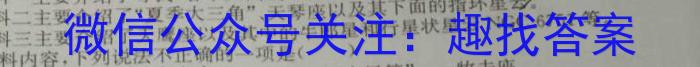 ［益卷］陕西省2023-2024学年度九年级第一学期课后综合作业（二）语文