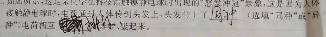 鼎尖教育 逐梦星辰杯 实验班大联考2024届高三12月联考物理试题.