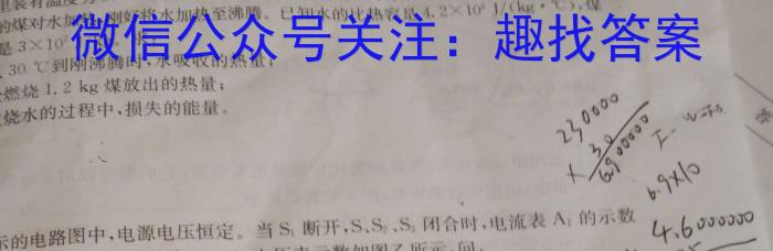 高考快递 2024年普通高等学校招生全国统一考试·信息卷(五)5新高考版l物理
