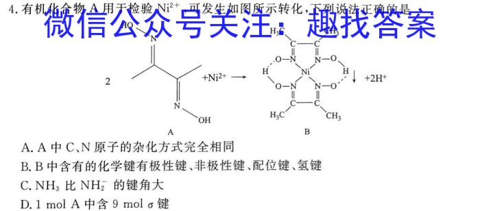 q山东省泗水县2023-2024学年第一学期高一年级期中考试化学