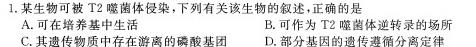 河南省2023-2024学年度第一学期九年级阶段性测试卷（3/4）生物学试题答案