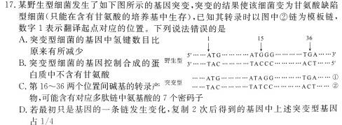 河南省2024届九年级第一学期学习评价（2）生物学试题答案