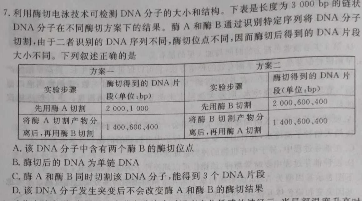 2023年秋季鄂东南省级示范高中教育教学改革联盟学校高二期中联考生物学试题答案