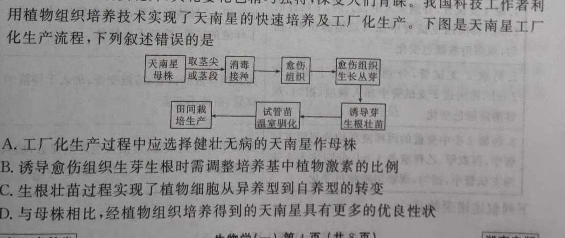 昆明市第一中学2024届高中新课标高三第四次一轮复习检测生物学试题答案