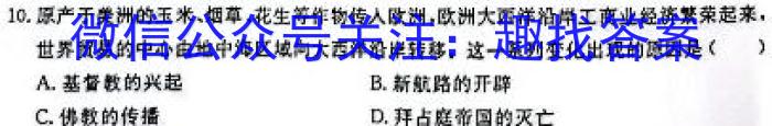 安徽省合肥市2023/2024学年度第一学期九年级学情练习（2）历史