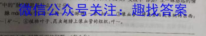 安徽省2024届皖江名校联盟高三12月联考[D-024]/语文