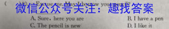 陕西省2023-2024学年度九年级第一学期第二阶段巩固练习英语