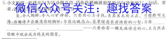 安徽省2023-2024学年度九年级第三次月考（12.12）/语文