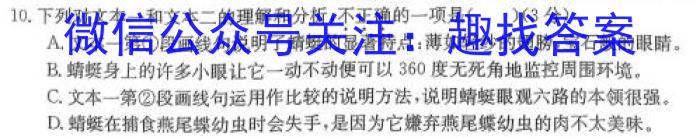 山东中学联盟2024届高三年级百校大联考12月联考/语文