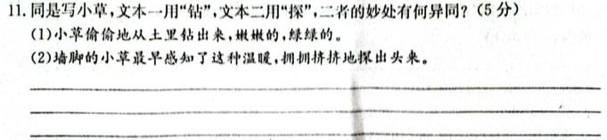 2024届内蒙古高三考试12月联考(24-186C)语文试卷 答案