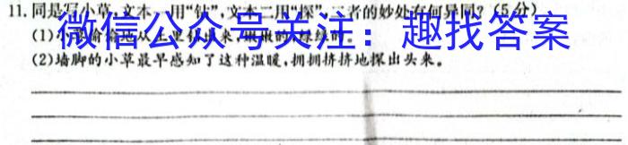 陕西省2023秋季九年级第二阶段素养达标测试（A卷）基础卷语文