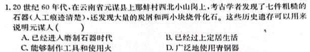 2024年普通高等学校招生统一考试 ·最新模拟卷(一)1历史