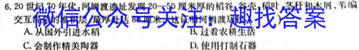 山西省晋中市2023-2024学年第一学期九年级12月教学水平调研卷历史