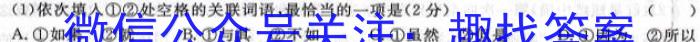 洛阳市2023-2024学年高二年级第一学期期中考试（11月）语文