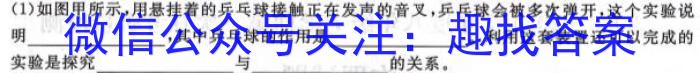 安徽省2023-2024学年度第一学期八年级期中综合性作业设计物理试卷答案