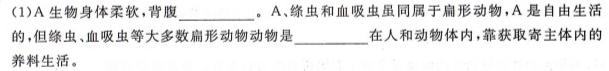 陕西省咸阳市2023-2024学年度第一学期九年级第二次作业C生物学试题答案