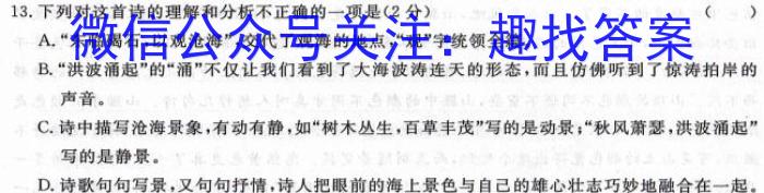 2023-2024学年安徽省九年级上学期阶段性练习(三)语文