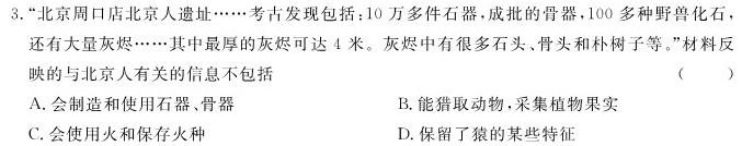 安徽省2024届九年级阶段诊断（三）历史