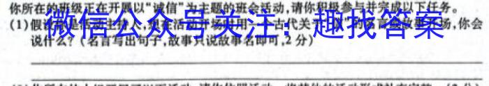 安徽省2023~2024学年度九年级阶段质量检测（三）/语文