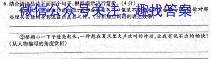 学业测评•分段训练•江西省2024届九年级训练（三）语文