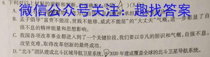 2023-2024学年安徽省九年级教学质量检测（三）语文