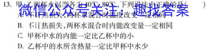 江西省2023-2024学年第一学期九年级期中质量检测q物理