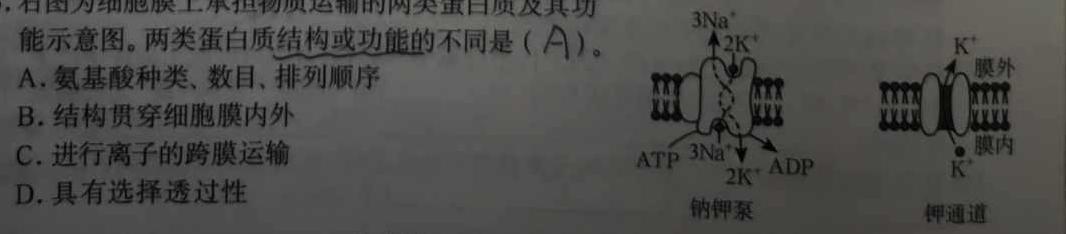 2023年秋季黄冈市部分普通高中高三年级阶段性教学质量检测生物学部分