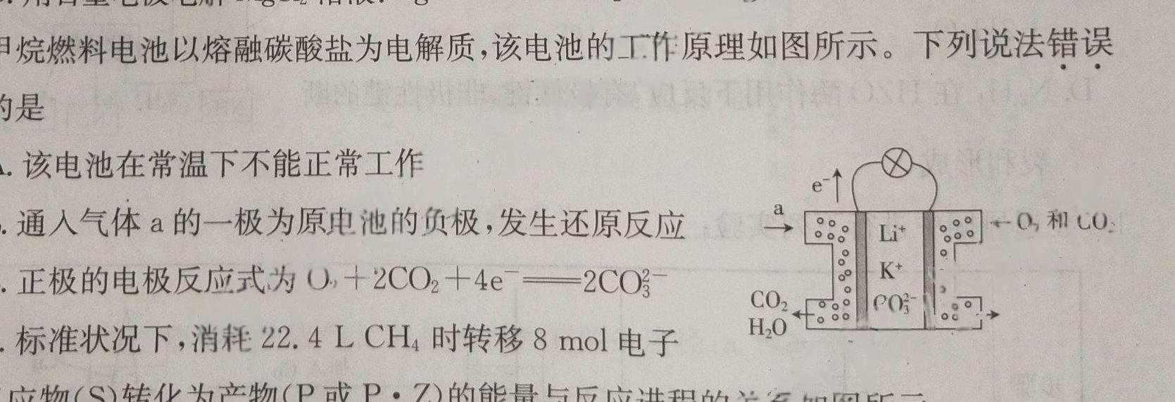 【热荐】[泸州一诊]2023-2024学年泸州市高2021级第一次教学质量诊断性考试化学