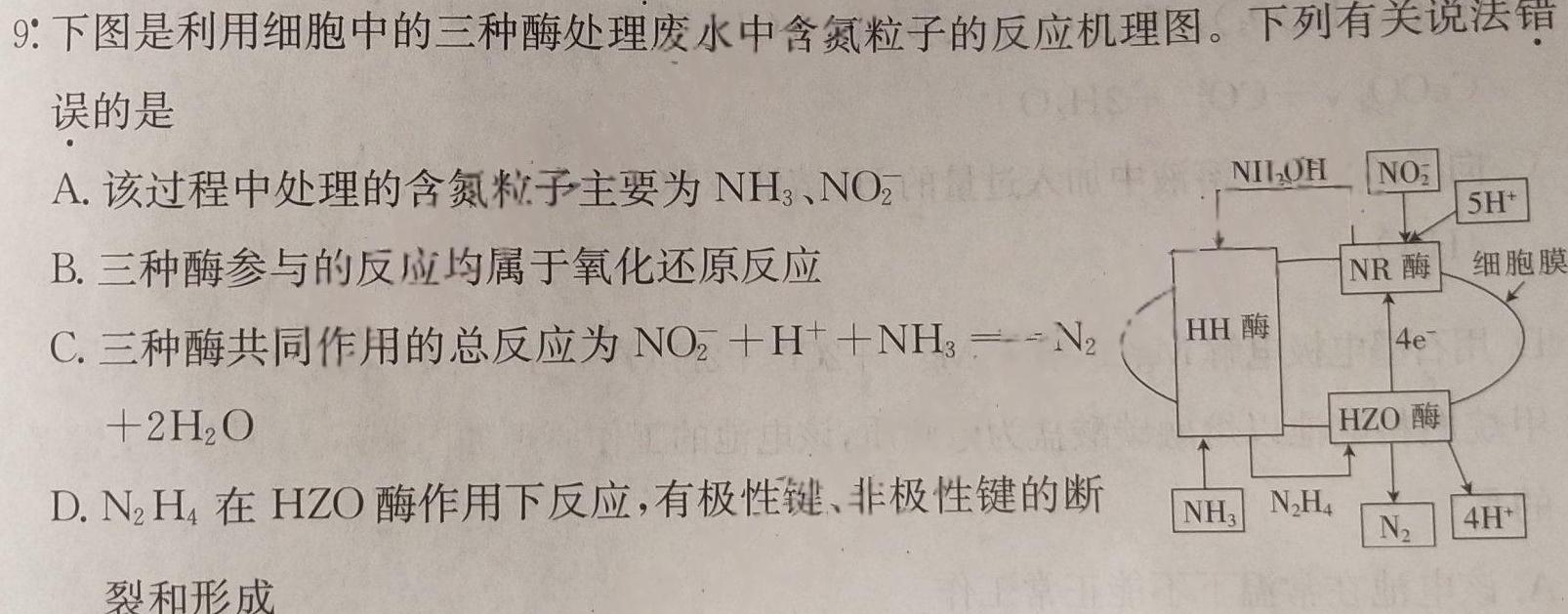 1山西省朔州市23-24第一学期三阶段检测八年级试题（卷）化学试卷答案