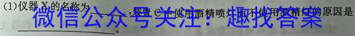 j江西省2024届九年级第三次阶段适应性评估化学