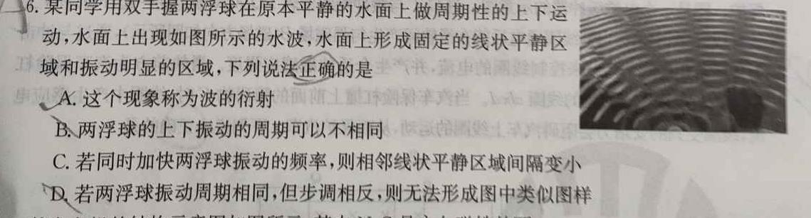 [今日更新]陕西省2025届高二12月联考.物理试卷答案