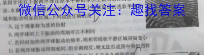 山西省朔州市2023-2024学年度九年级第一学期阶段性练习（三）［12.10］物理试卷答案