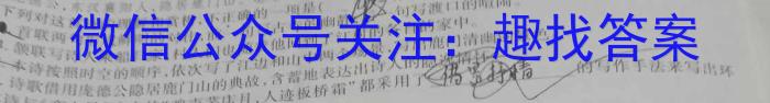 高考快递 2024年普通高等学校招生全国统一考试·信息卷(八)8新高考版语文